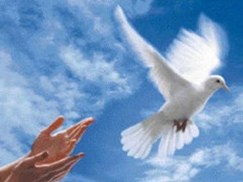 Pensiero del mattino di martedì 2 maggio 2017 