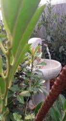 Meraviglioso.. Riflessione spirituale di lunedì 25 settembre 2017 