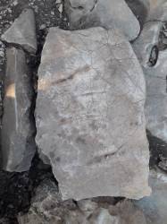 Pensiero del mattino  6 giugno 2018   L'indifferenza...