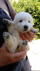 Il bene si può fare...