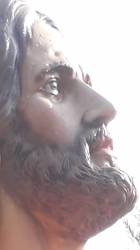 Meditazione spirituale della ventisettesima domenica del tempo ordinario 29 luglio 2018