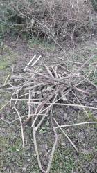 Meditazione domenicale.