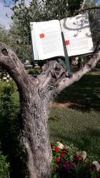 Piccolo pensiero di Padre Pio