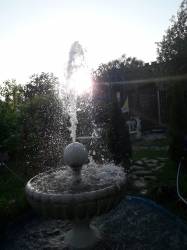 Piccolo pensiero di Padre Pio.