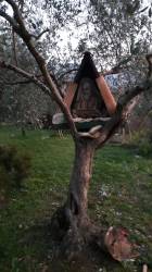 Consiglio di Padre Pio.