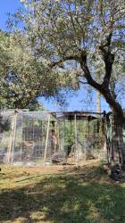 Tutti sulla stessa barca