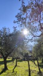 Siate sempre disponibili