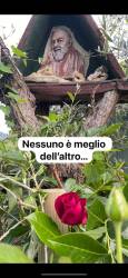 Messaggio di Padre Pio.