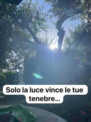 Cosa ci direbbe la vergine Maria se ci dovesse parlare ? Sicuramente questo 