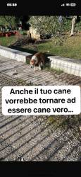Ritorniamo ad essere veri